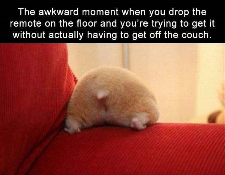 The awkward moment when you drop the remote on the floor and you're trying to get it without actually having to get off the couch.