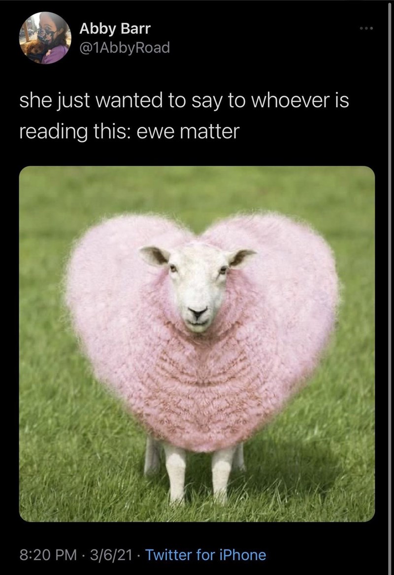 Abby Barr @1AbbyRoad she just wanted to say to whoever is reading this: ewe matter 8:20 PM 3/6/21 Twitter for iPhone ...
