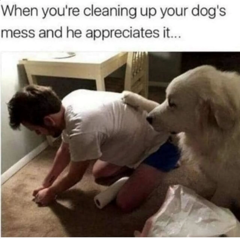 When you're cleaning up your dog's mess and he appreciates it...