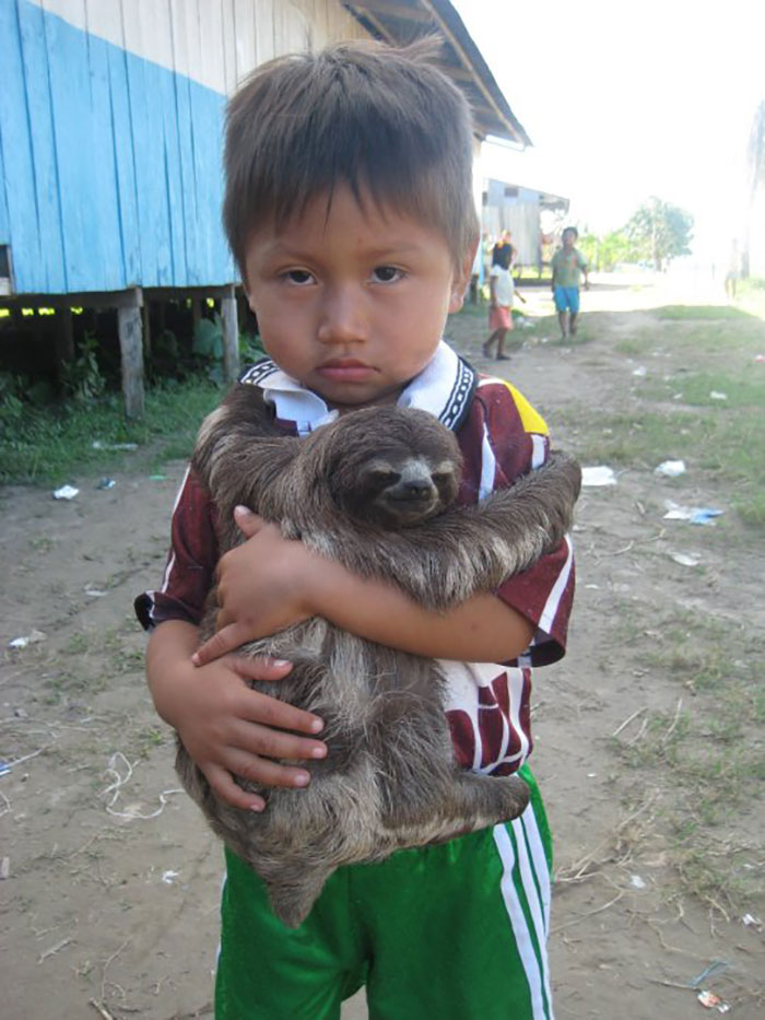 A Child And His Sloth Hanging Out On The Amazon