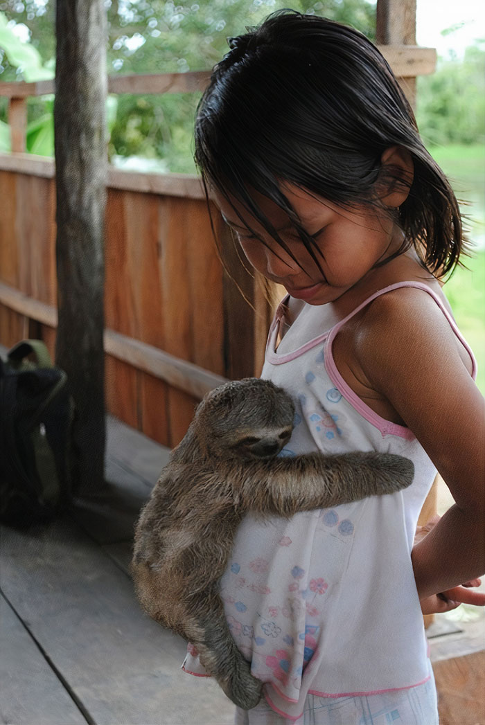 Sloth Hug