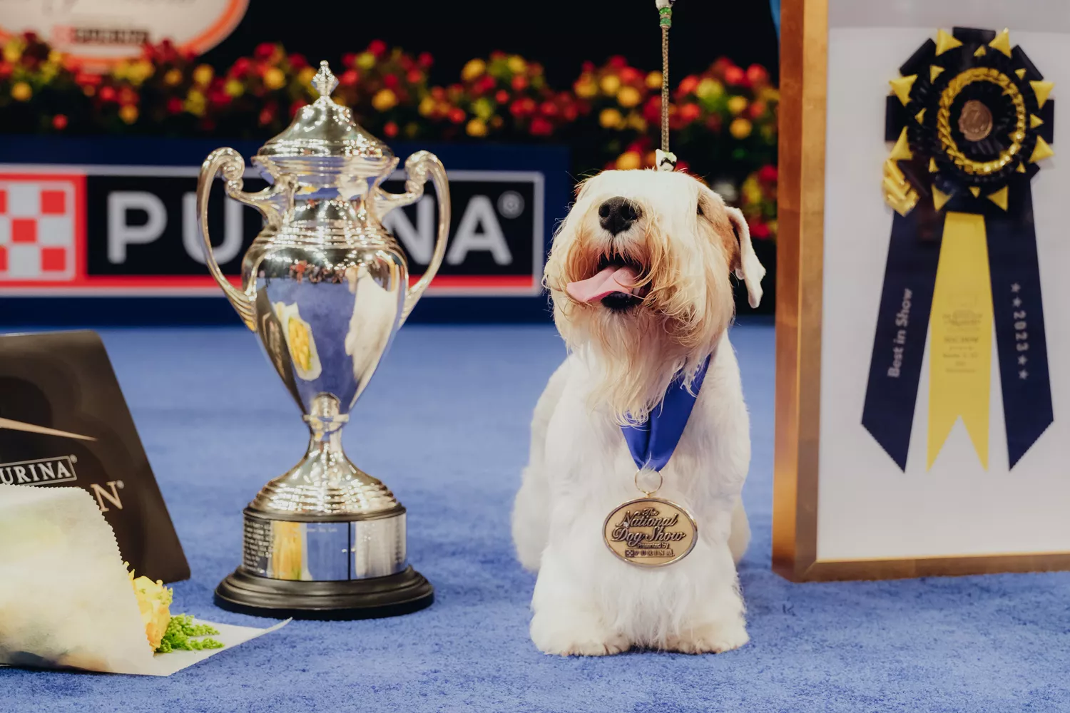 National Dog Show winner