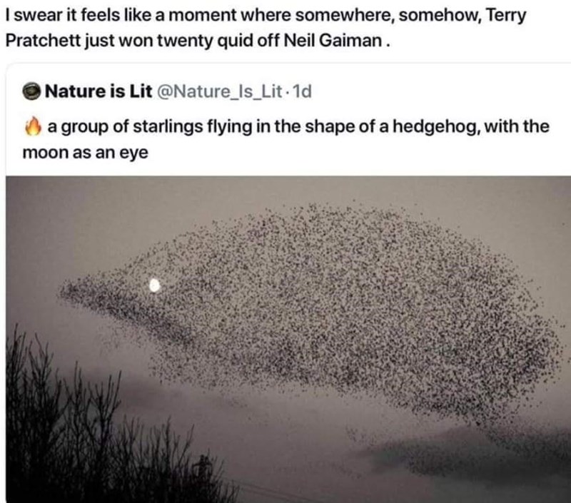 I swear it feels like a moment where somewhere, somehow, Terry Pratchett just won twenty quid off Neil Gaiman. Nature is Lit @Nature_Is_Lit. 1d a group of starlings flying in the shape of a hedgehog, with the moon as an eye