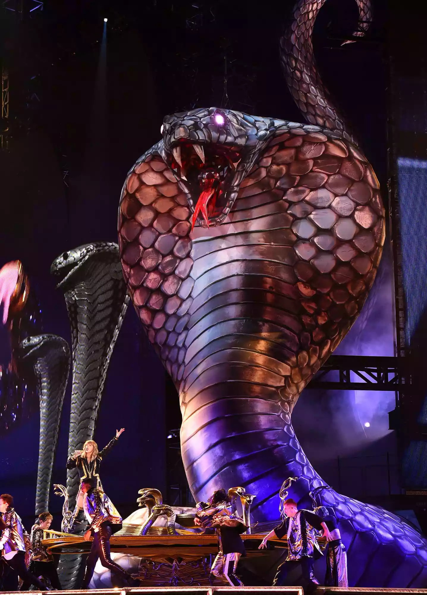 Taylor Swift 2018 reputation Stadium Tour