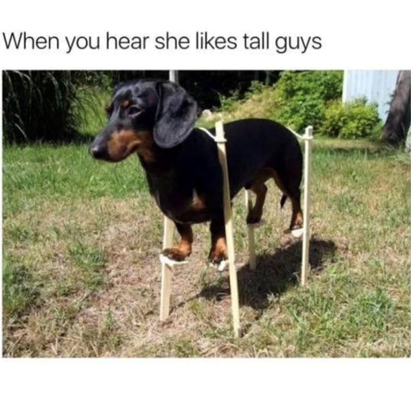 When you hear she likes tall guys