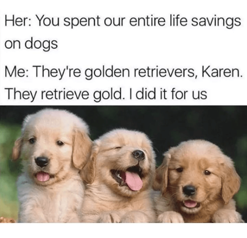 Her: You spent our entire life savings on dogs Me: They're golden retrievers, Karen. They retrieve gold. I did it for us
