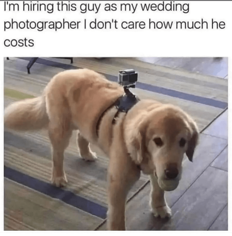 I'm hiring this guy as my wedding photographer I don't care how much he costs