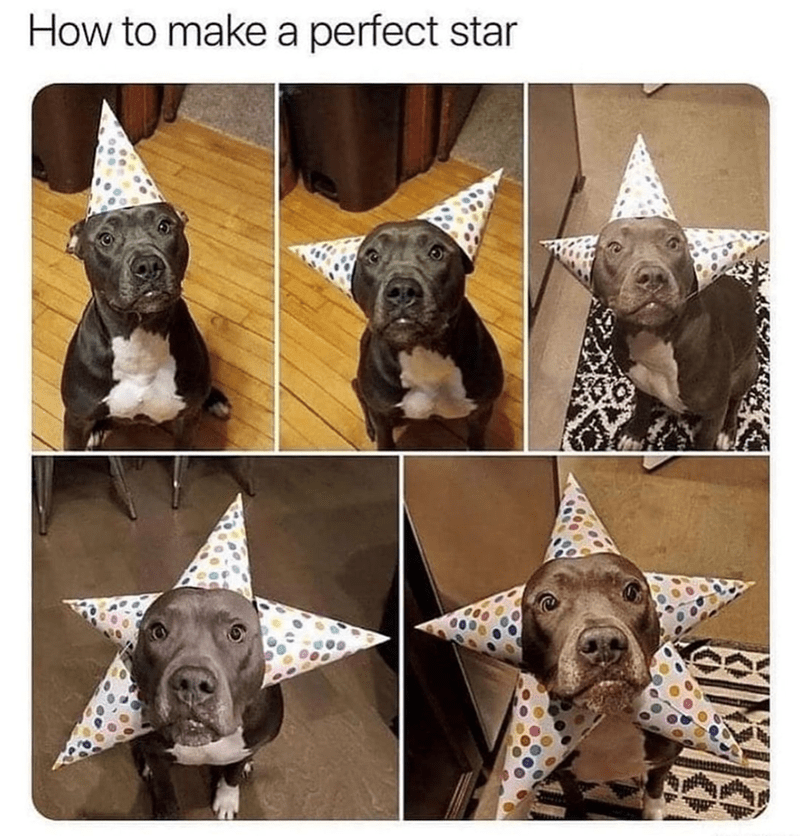 How to make a perfect star MO