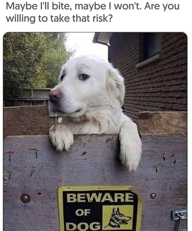 Maybe I'll bite, maybe I won't. Are you willing to take that risk? BEWARE OF DOG