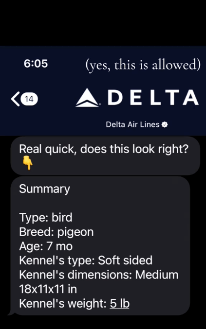 6:05 14 (yes, this is allowed) ADELTA Delta Air Lines Real quick, does this look right? Summary Type: bird Breed: pigeon Age: 7 mo Kennel's type: Soft sided Kennel's dimensions: Medium 18x11x11 in Kennel's weight: 5 lb