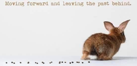 Rabbit - Moving forward and leaving the past behind.