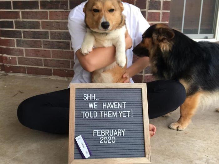 SHH.. WE HAVENT TOLD THEM YET! FEBRUARY 2020