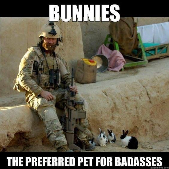 Soldier - BUNNIES THE PREFERRED PET FOR BADASSES quickmeme.com