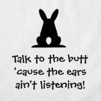 Text - Talk to the butt 'cause the ears ain't listenina!