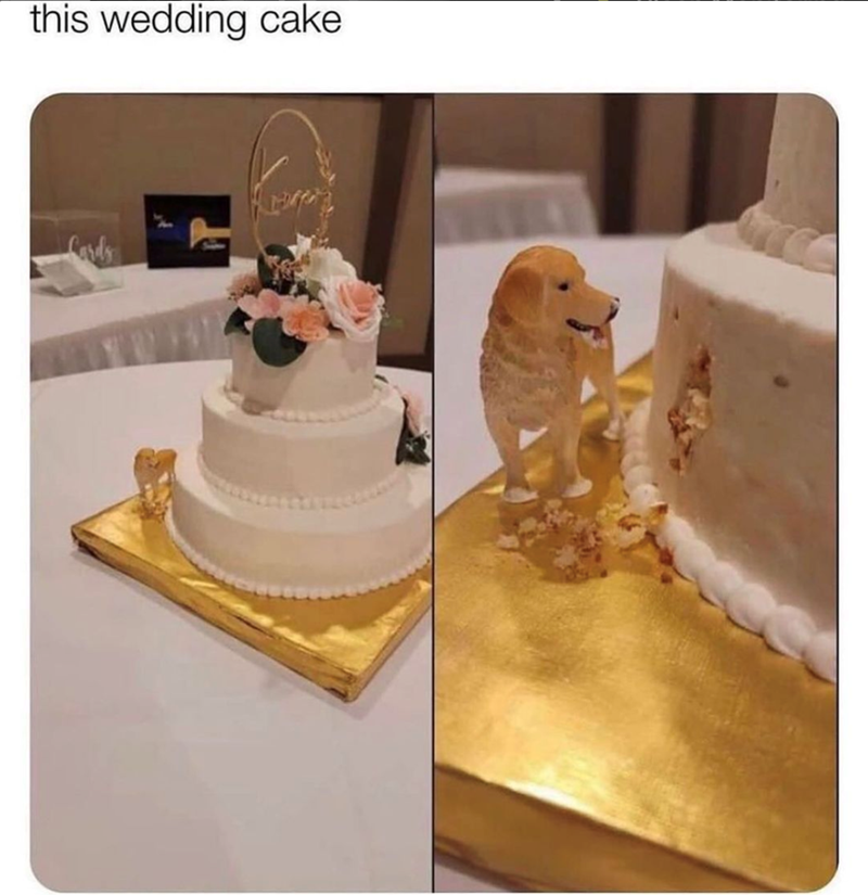 this wedding cake