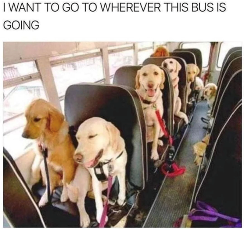 I WANT TO GO TO WHEREVER THIS BUS IS GOING