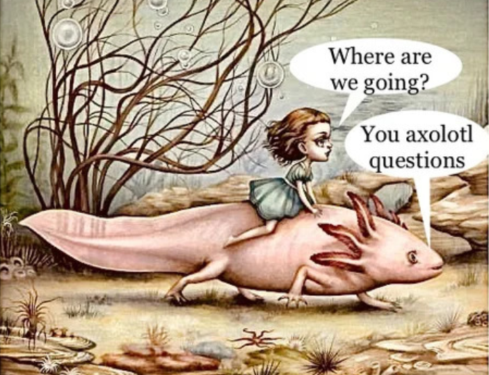 Where are we going? You axolotl questions