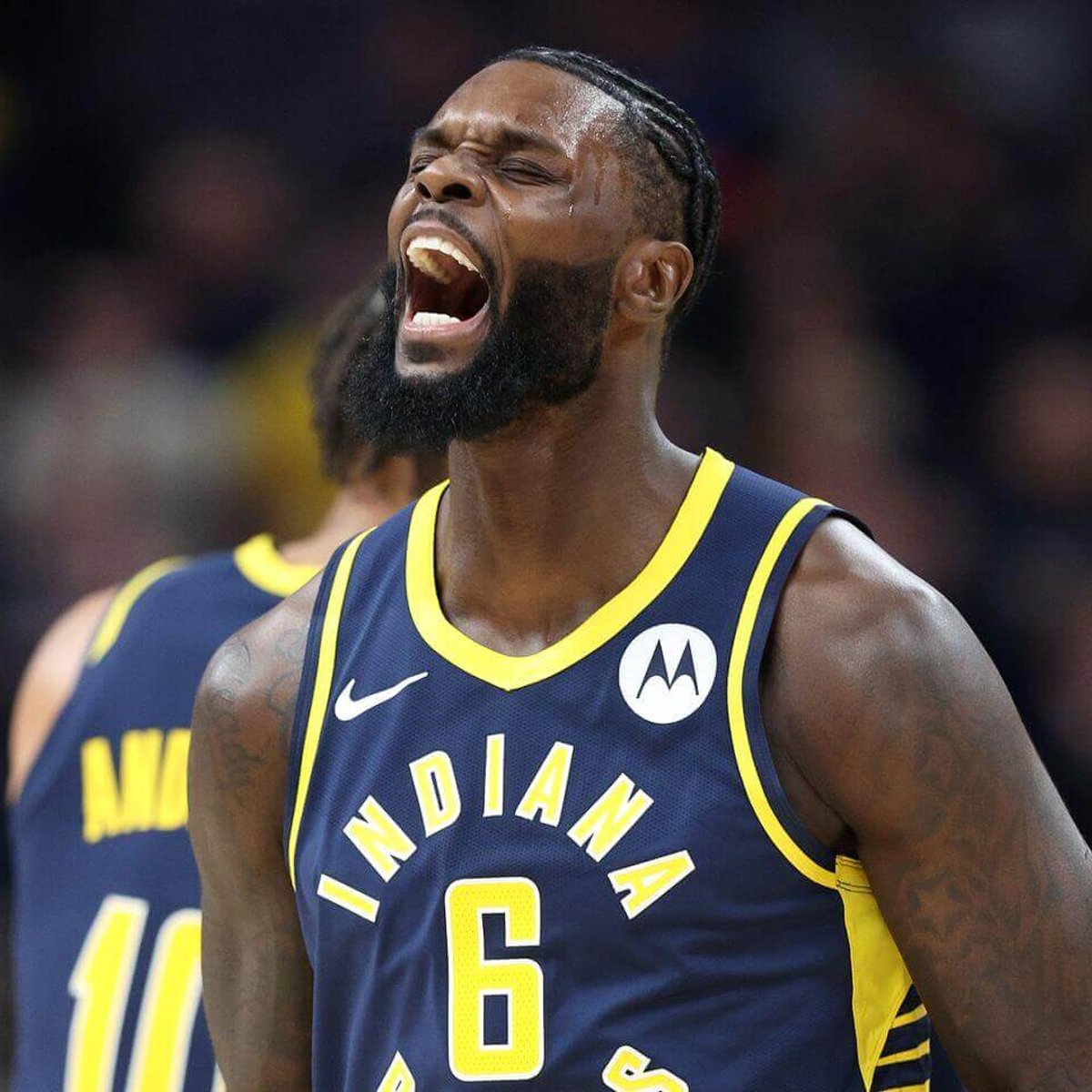 Lance Stephenson sends bold message to Knicks about hopeful NBA return -  radiozona.com.ar