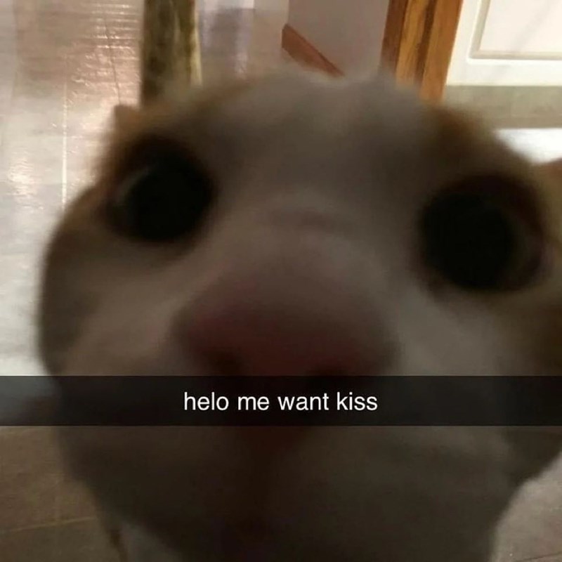 helo me want kiss