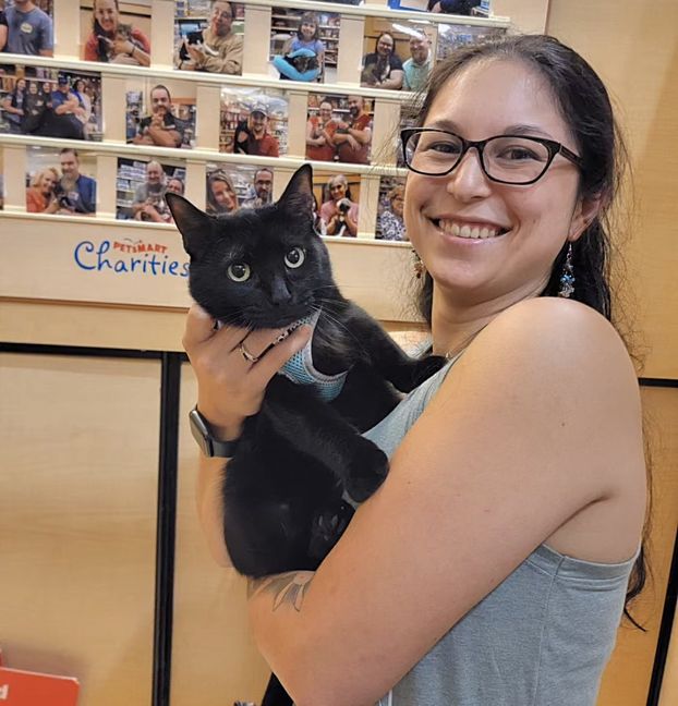 happy cat adopted