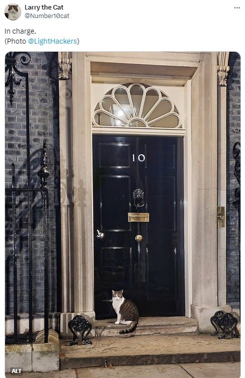 Larry the Cat @Number10cat In charge. (Photo @LightHackers) ALT 10 ***