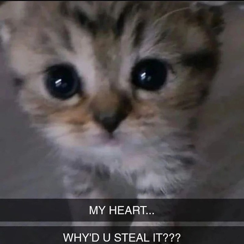 MY HEART... WHY'D U STEAL IT???