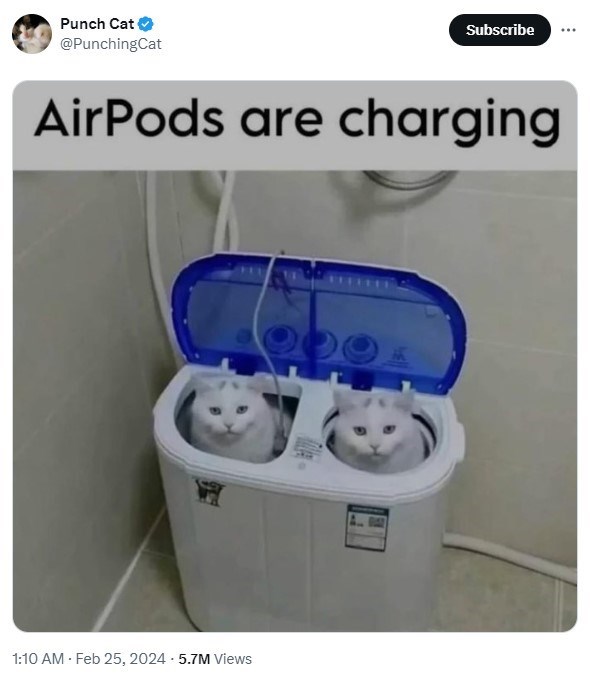 Punch Cat @PunchingCat AirPods are charging 1:10 AM - Feb 25, 2024 5.7M Views Subscribe
