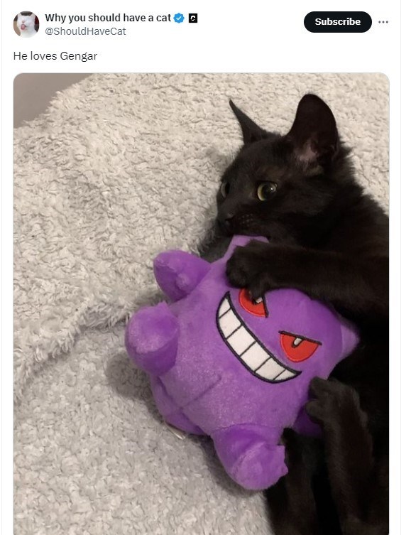 Why you should have a cat @Should HaveCat He loves Gengar C Subscribe