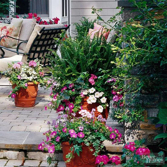 Detail of main terrace and potted plants