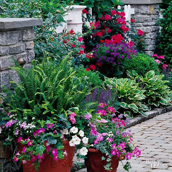 Detail of main terrace and potted plants