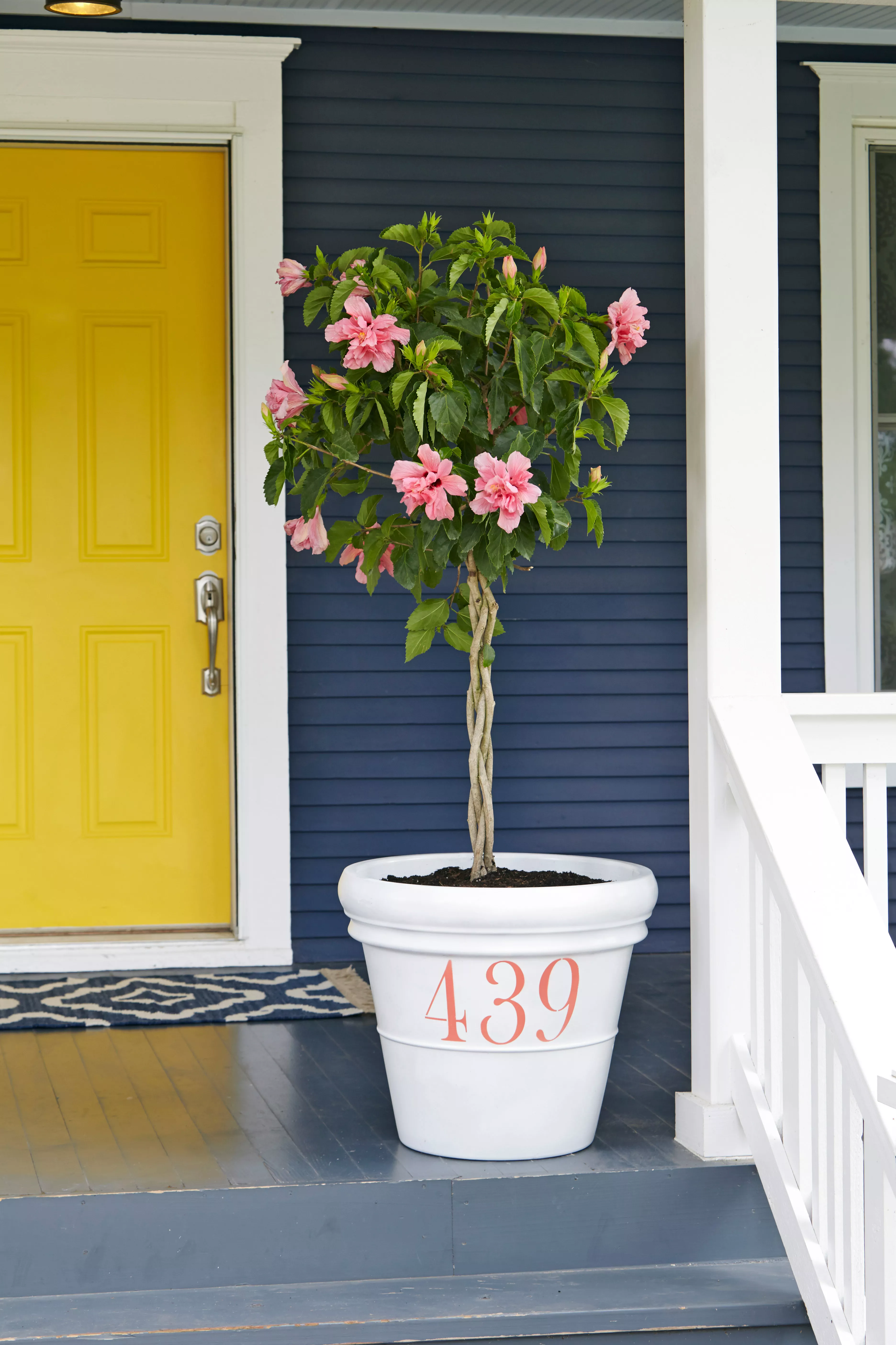 Topiary in a pot with painted house numbers on the front