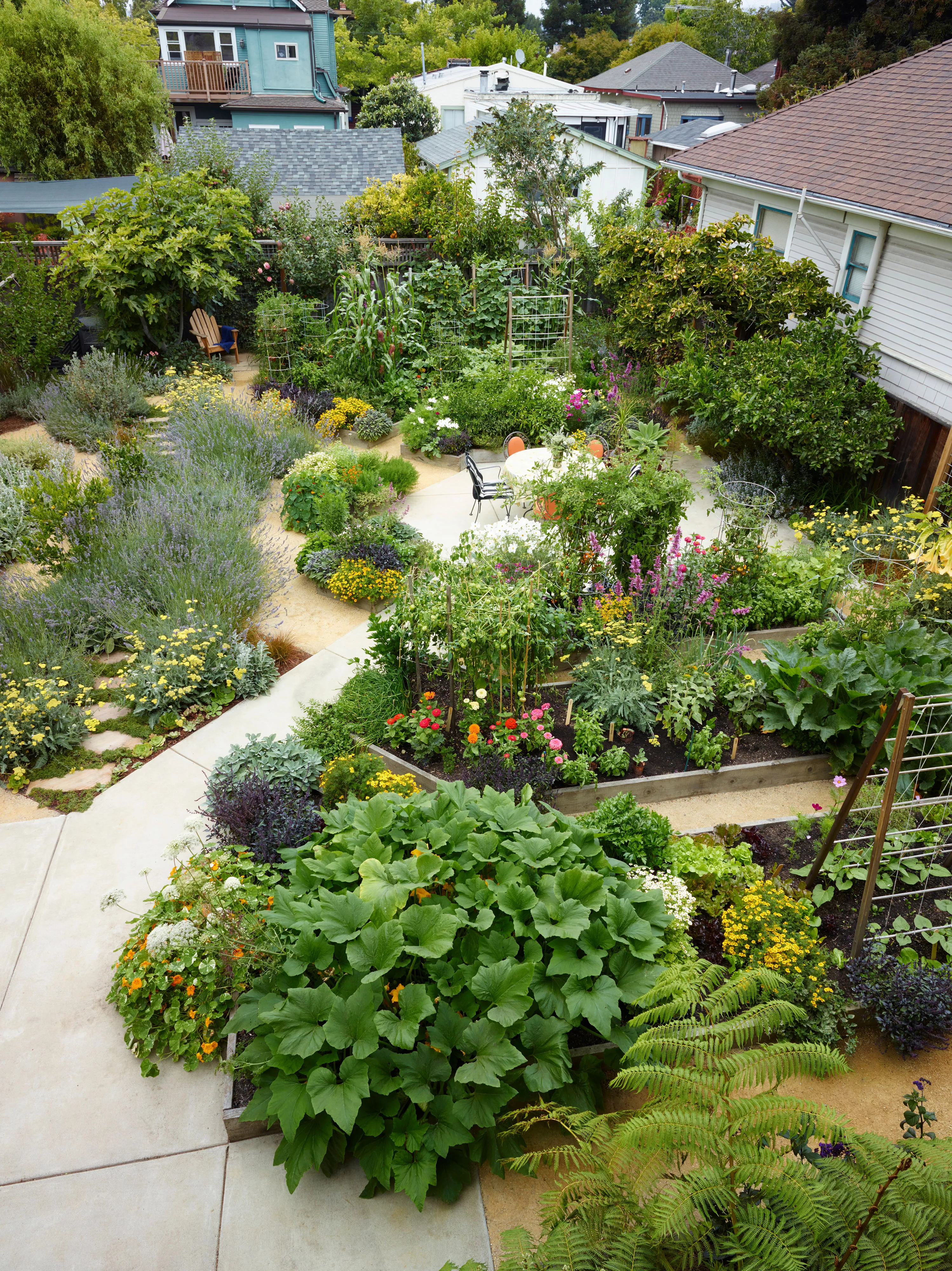 Large backyard with raised garden beds