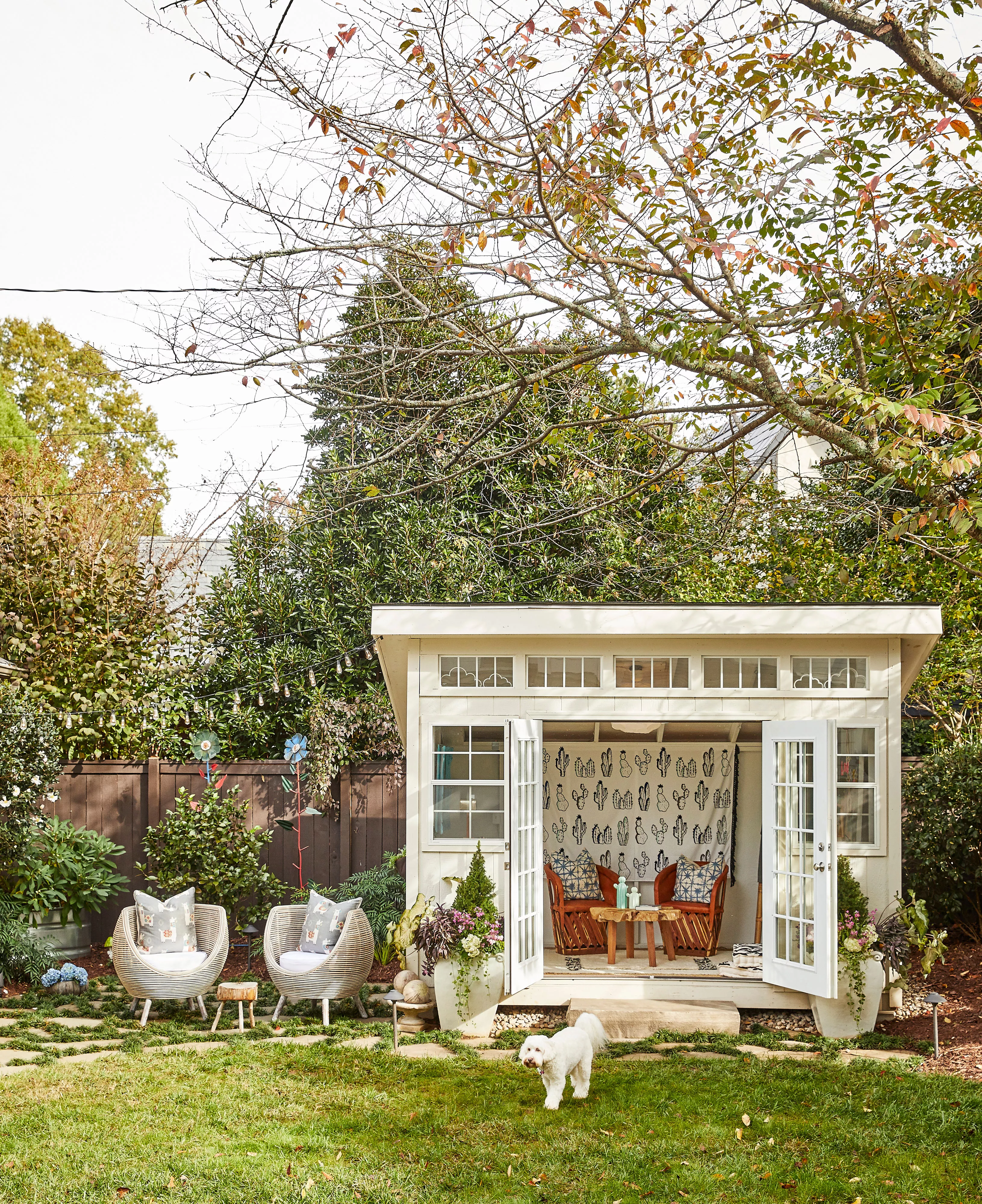 Backyard shed