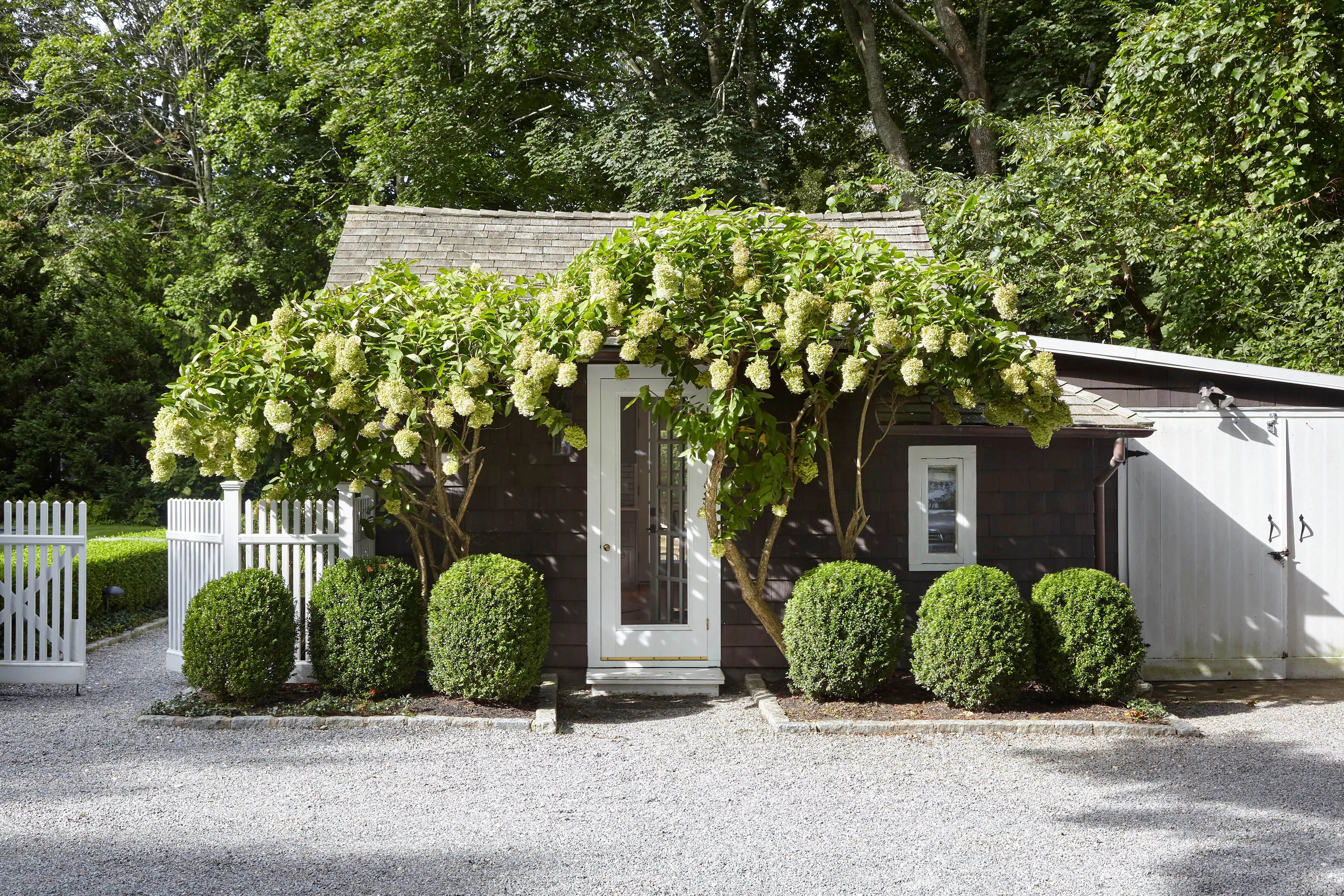 Pool house surrounded by hydrangeas and bushes