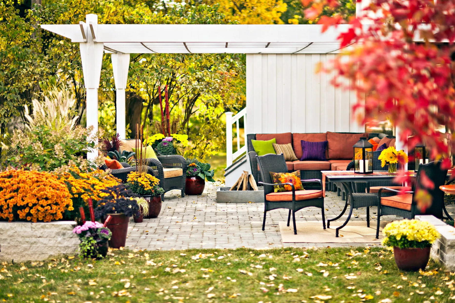 backyard pergola