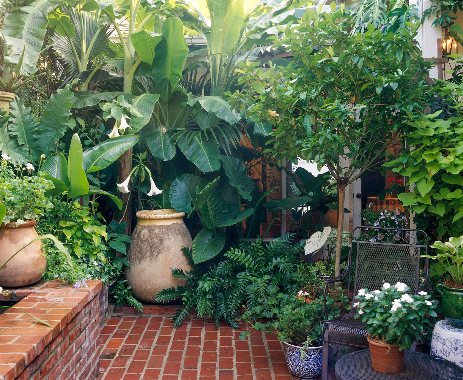 brick patio garden plants and trees