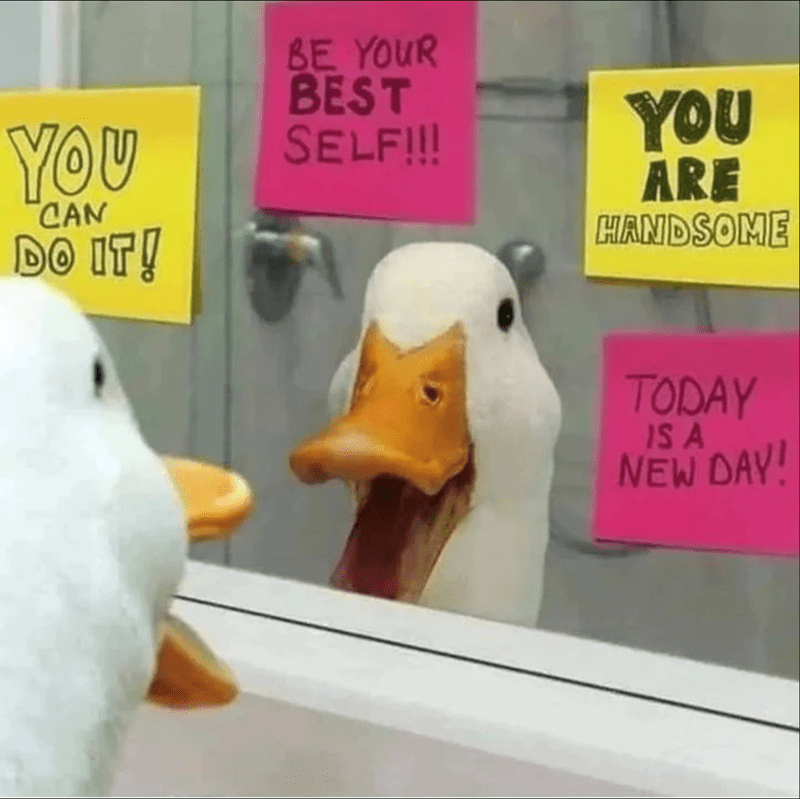 YOU CAN DO IT! BE YOUR BEST SELF!!! YOU ARE HANDSOME TODAY IS A NEW DAY!