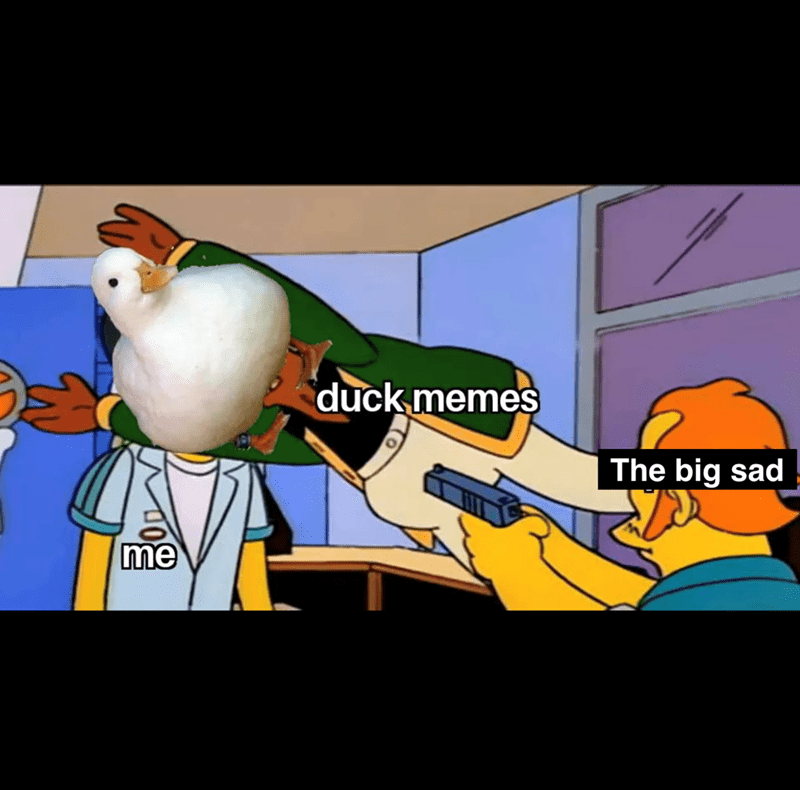 me duck memes The big sad