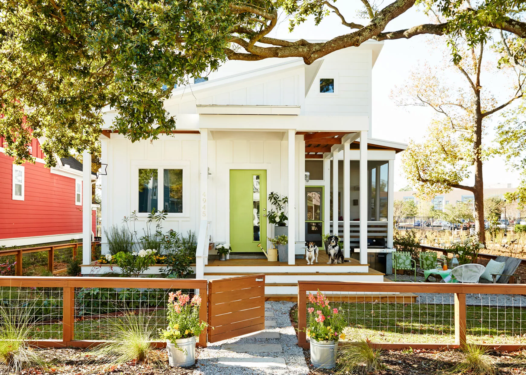 front mid century home exterior with dogs on porch