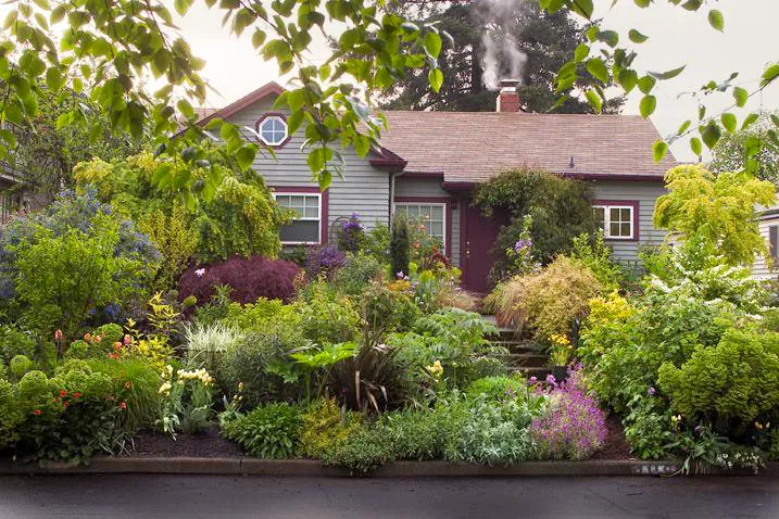 front home garden landscaping