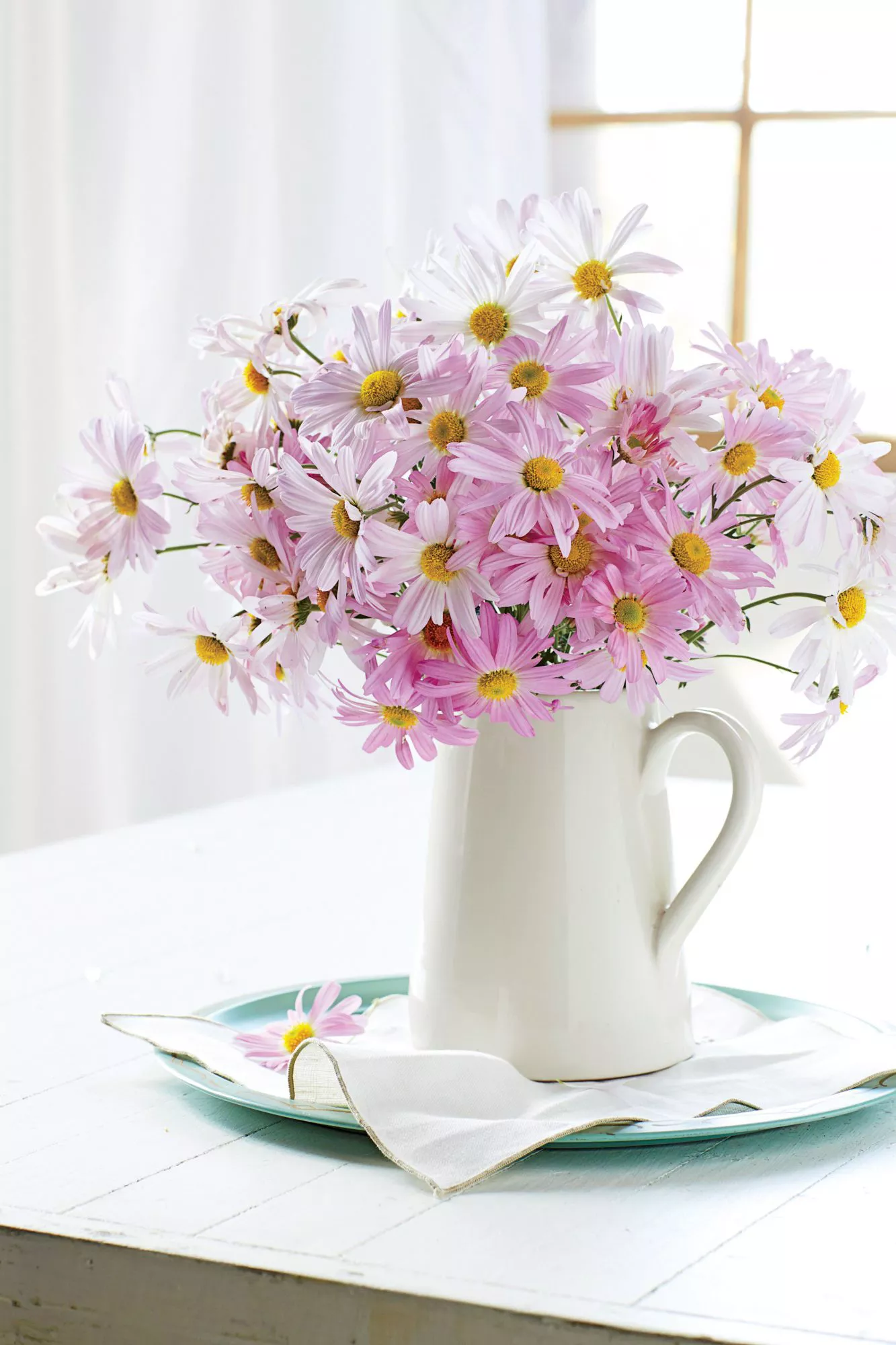 Pink Mums in Vase