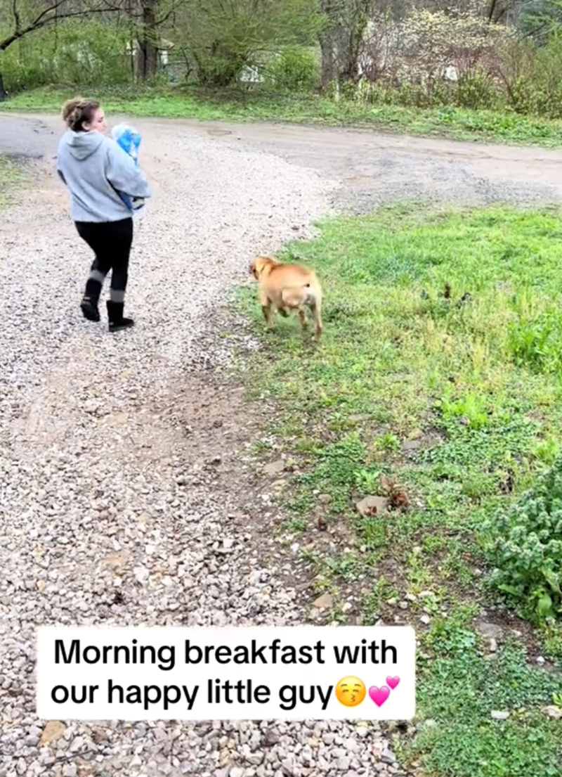 Morning breakfast with our happy little guy