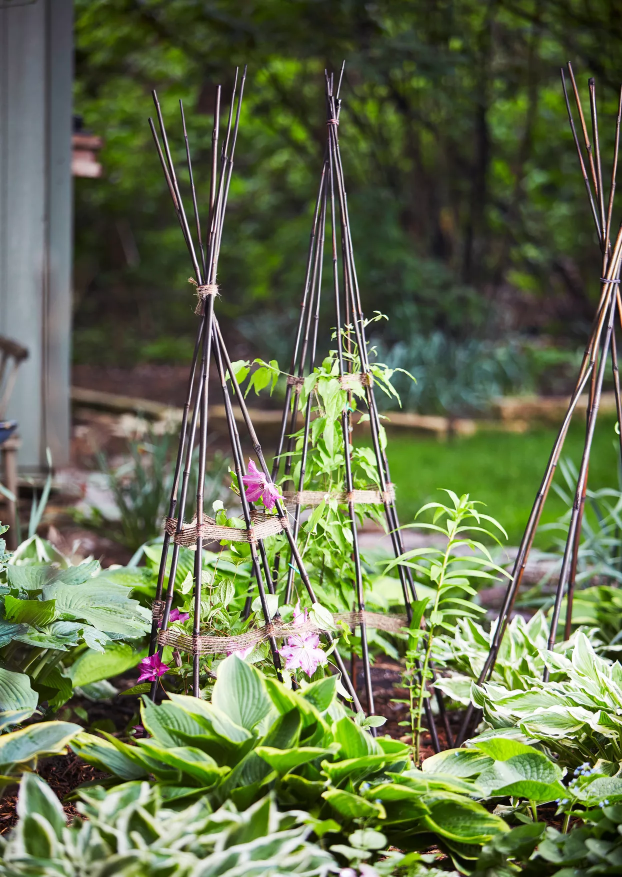 plant stands in garden