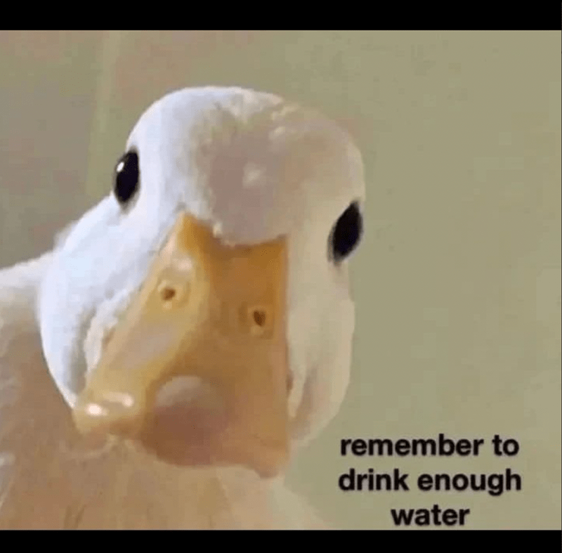 remember to drink enough water