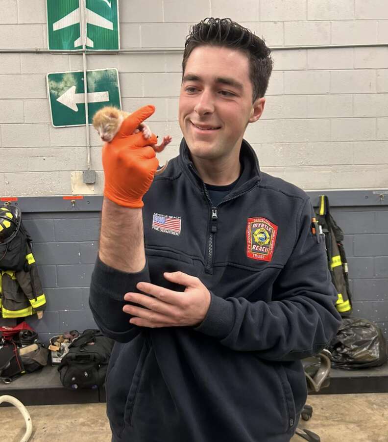 firefighter with kitten
