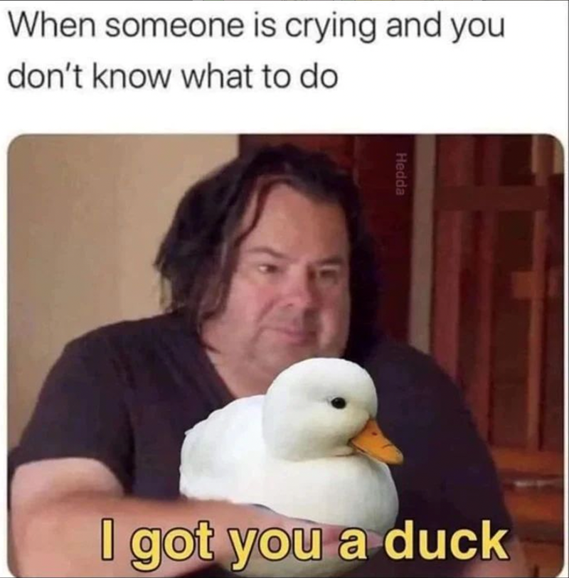 When someone is crying and you don't know what to do Hedda I got you a duck