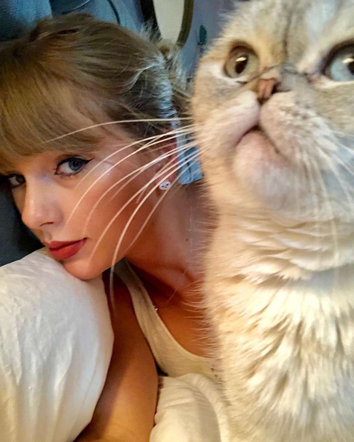 Taylor Swift's Cutest Photos with Her Cats, Benjamin Button, Olivia and  Meredith