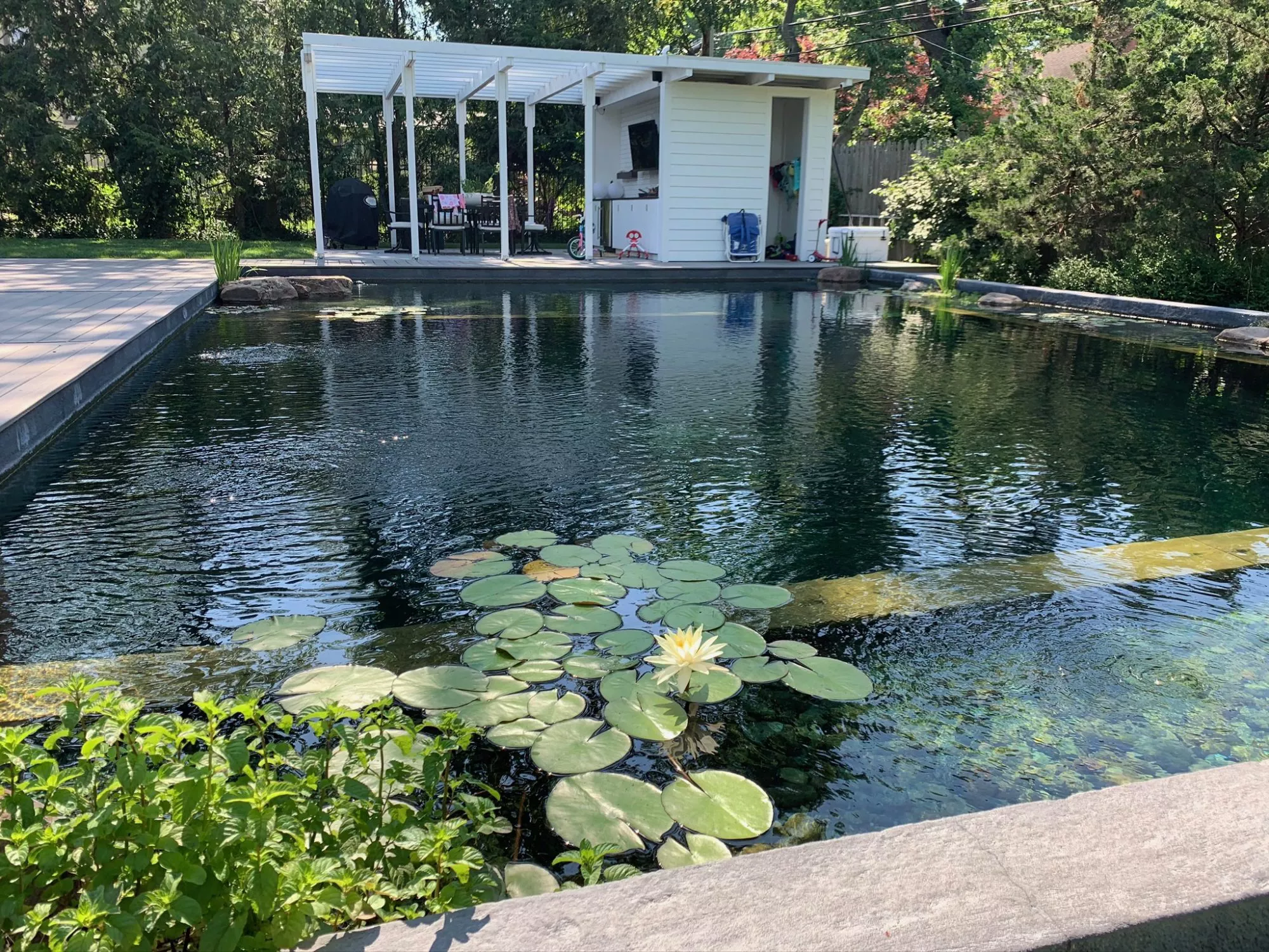 A visual of a naturally made swimming pool.