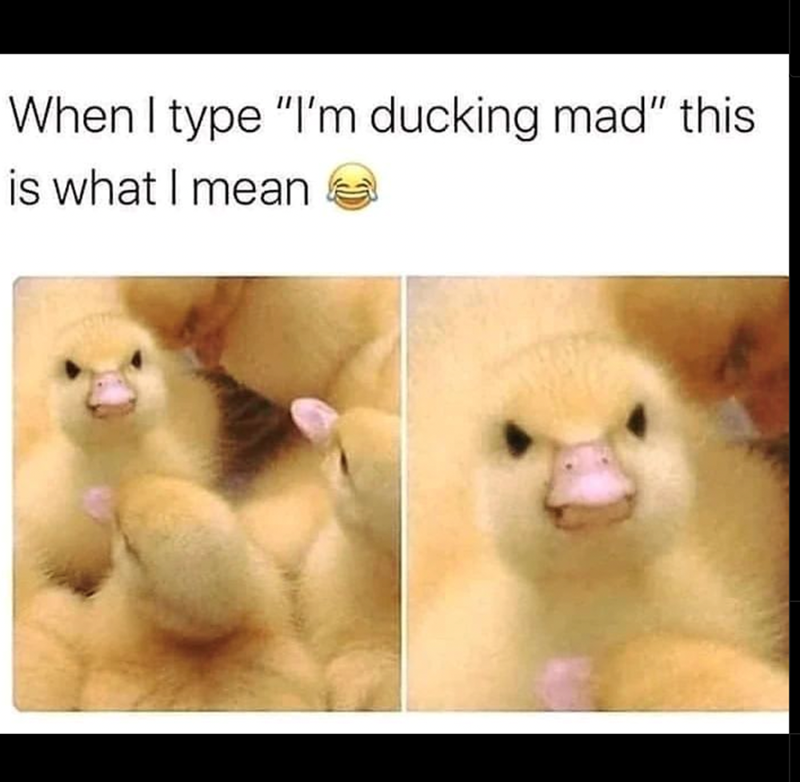 When I type "I'm ducking mad" this is what I mean