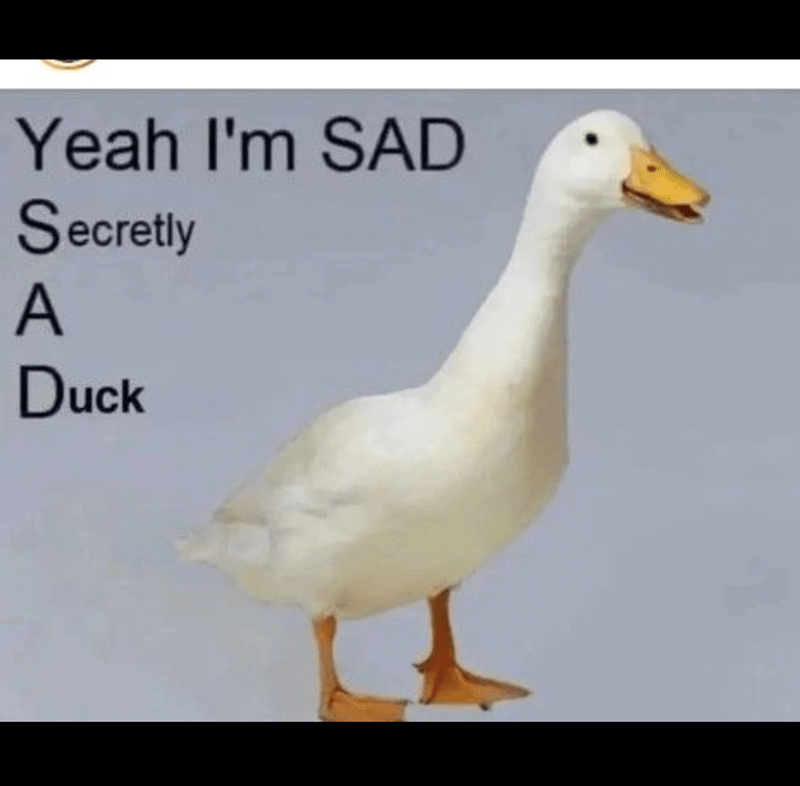 Yeah I'm SAD Secretly A Duck